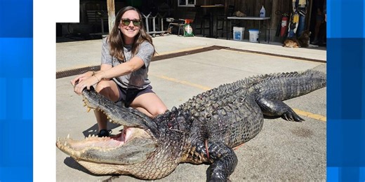 Woman on maternity leave catches 12-foot alligator, earns nickname ‘Gator Girl’