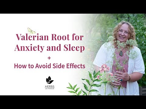 Valerian Root for Anxiety and Sleep + Avoid Valerian Root Side Effects