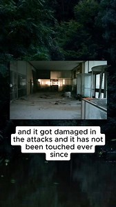 1.1M views · 11K reactions | The scariest facts? . . . #facts #scaryfacts #knowledge #world #spacex #animals #animalsfacts #historical #history #historicalfacts #nowvsthen #dinosaurs #people #beforeandafter | Berooox | Facebook