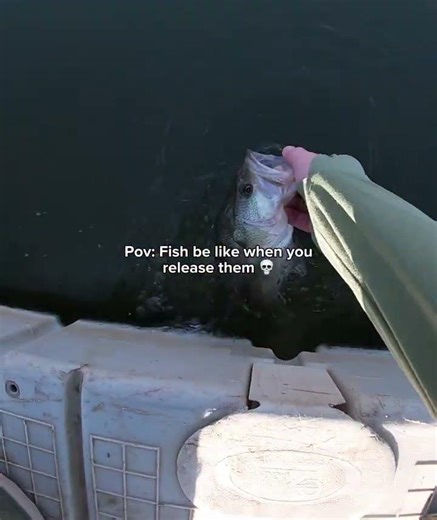 Pov: Fish Be Like When You Release Them 💀 #fishingvideo #fishing #bassfishing #viral #bass #shorts