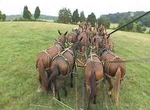 1.3M views · 12K reactions | Here's one from the archives. Artistry in action. | Rural Heritage Magazine | Facebook