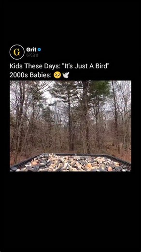 Grit on Instagram: "The mourning dove's call — a soft, haunting coo — is one of the most recognizable bird sounds in North America. Named for its sorrowful tone, the call consists of a series of low, echoing "coooooo-coo-coo" notes that often echo through quiet mornings and warm evenings. Found across the U.S., the mourning dove has become a background soundtrack to suburban life, especially in the spring and summer. Despite its sad-sounding voice, the bird itself is a symbol of peace and is one