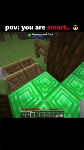 minecraft easy door trick 💀