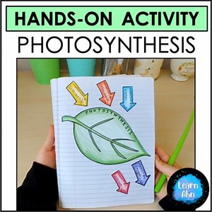 Modeling Photosynthesis Hands-on Activity - Interactive Science Notebook