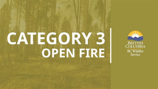When people in B.C. use fire to clear debris from their property, a category 2 fire is usually enough to do the job. Category 2 fire allows you to have up to two fires burning at the same time, and the fires can be up to two metres high by three metres wide. In cases where multiple or larger fires are required, those conducting the burn must register their plan and take extra steps to make it safe. Senior Wildfire Prevention Officer Alan Berry explains category 3 fire in the video below. Learn m