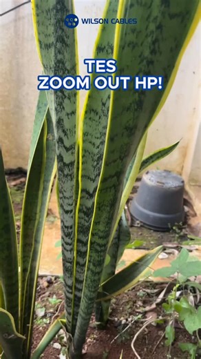 2026 masih ketipu? Yakali! Wilson Cables pakai 99,99% tembaga murni, sudah SNI, dan 3x lebih cepat padam🔥 Dari kabel bangunan sampai kabel audio, semua ada! 👉 Jangan yang penting nyala, pilih yang aman & tahan lama! #WilsonCables #UntungAdaWilsonCables #3xLebihCepatPadamKetikaTerbakar | Wilson Cables