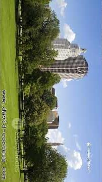 CONDITIONAL SENTENCES