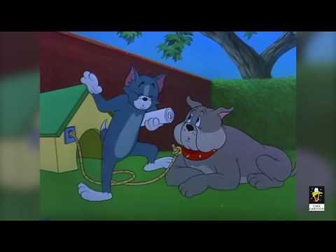 Tom and Jerry - Smarty Cat - Episode 95 - Tom and Jerry Cartoon ► iUKeiTv™