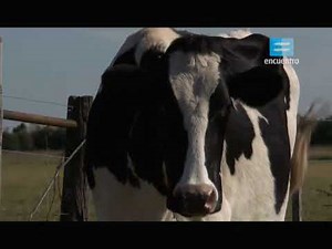 Argentina: principales actividades económicas