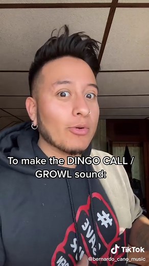 Beginner's Guide to Playing the Didgeridoo