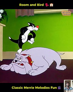 Room and Bird 🐦🏨 Sylvester’s Wild Chase at Granny’s Hotel! Classic Merrie Melodies with Tweety! | All About Cartoon