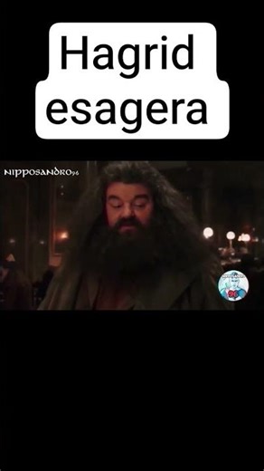 hagrid esagera #ytp #harrypotter #parodia