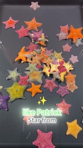 How Starfish REALLY Reproduce Mind-Blowing Regeneration! 🌟✨#animals #foryou #science #fyp #starfish