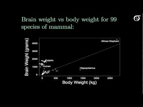 Simple Linear Regression: Transformations