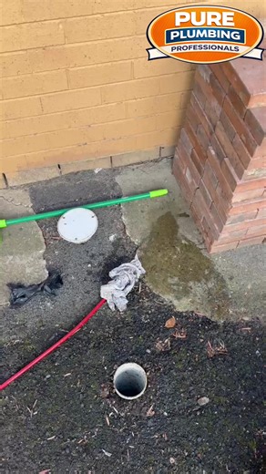 Quality Plumbing Services in Sydney - Pure Plumbing Professionals