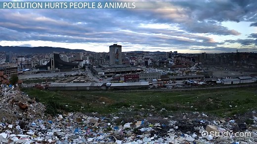 What is Pollution? - Lesson for Kids: Definition & Facts