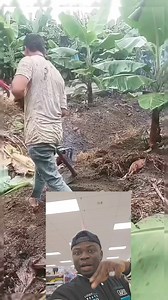 169K views · 501 reactions | Machine Fails #fails #failscompilations #constructionfails #construction #failsoftheweek #failsvideo #skills | World News | Facebook