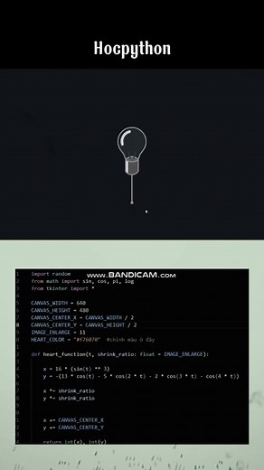 Học Python Từ Con Số 0 trên TikTok