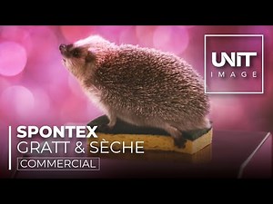 SPONTEX GRATT & SÈCHE | COMMERCIAL