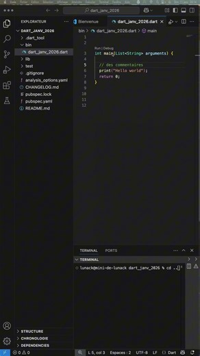 Comment est composé un programme dans le langage de programmation dart ? #tutorial #code