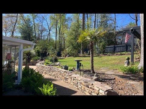 Live! 12x10 Ranch Shed Build! 🍍