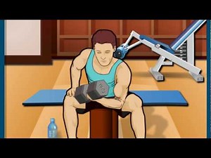 Qu'est-ce que la contraction musculaire?