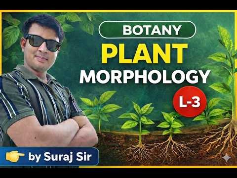 Plant morphology L -3. Aerial stem modification, stipule,leaf types modification
