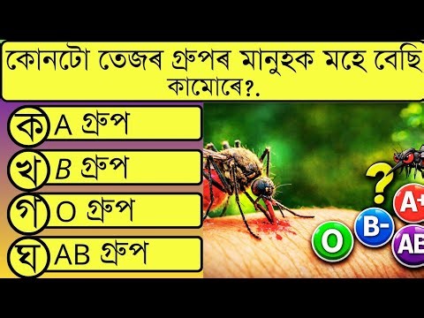 20 টা অসমীয়া সাধাৰণ জ্ঞানৰ প্ৰশ্ন আৰু উত্তৰ || Assamese GK questions and answers || Assam Quiz