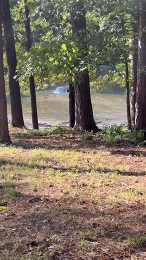 Truck and Trailer float away on Lake Hamilton at Hill Wheatley. 🛻 🚤 | We AR News