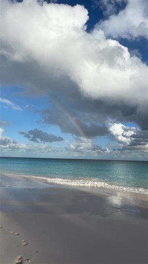 Rainbow | Nina London