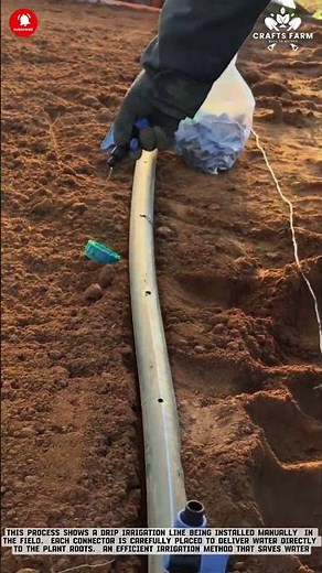 Drip Irrigation Pipe Installation: Precise Hole Drilling for Efficient Water Distribution