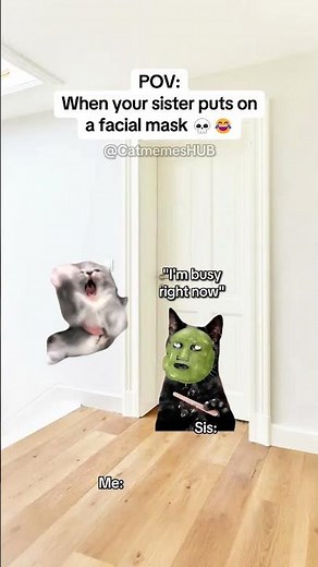 CAT MEMES 🐱When your sister puts on a facial mask #catmemes #relatable #relationship