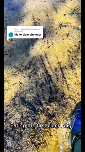 344K views · 9.4K reactions | Clam chowder #cooking #EasyRecipes #outdoors #cheapprice #fishing #seafoodlover | Wade Fishez | Facebook