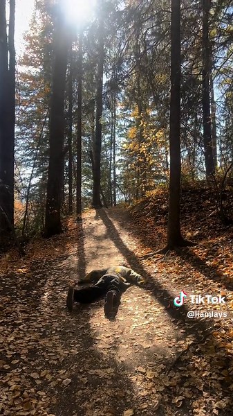 Meeting Fans: Liam Payne One Direction Compilation