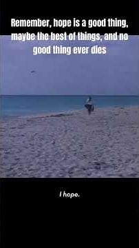 The Shawshank Redemption ending scene