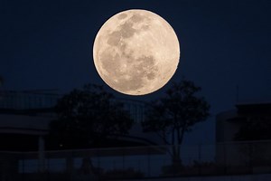 Rare Wolf Supermoon to rise over UK skies - when and how to see