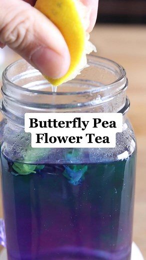 Delicious Butterfly Pea Flower Tea Drink Recipes