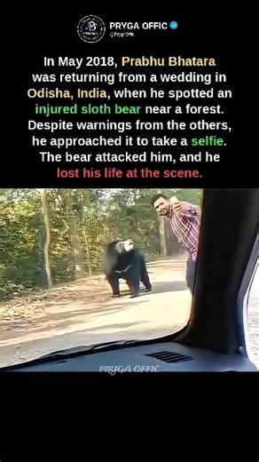 He Ignored Everyone’s Warning