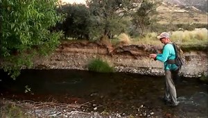 Small streams are all about approach. 😊🤫 What was going to be a bow & arrow cast was blocked by the heavy willow - so I used the same willow branches blocking my cast as cover and snuck in like Elmer Fudd trying to tickle Petunia Pig and opted for an 18" dap cast instead. It takes time but I wouldn't trade these fish for any other on the planet. 😍😍😍🍻🍻🍻 | Jensen Fly Fishing