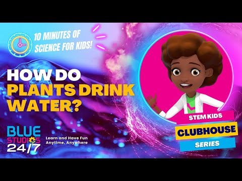 Transportation in Plants! Fun Plant Science