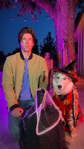 97K views · 1K reactions | It’s just a bunch of Hocus Pocus! Are you excited for Halloween? #spookyseason #HocusPocus #disney #halloween #funny #comedy #dogvideos #halloweencostumes #sandersonsisters #huskies #dogs | 2Husketeers | Facebook
