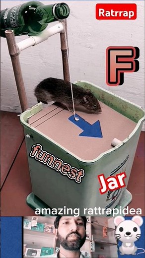 The most perfect mouse trap idea using a plastic bucket / Mouse trap #rat #trap #rattrap