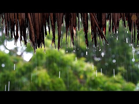 12 Hours Relaxing Sleep Music 🎵 Meditation Music, Stress Relief Music, Study Music • Sounds of Rain