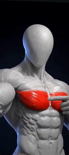 Lower Chest Anatomy 🔥 | Science-Based Workout #fitnesstamil
