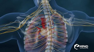 For less than a daily cup of coffee, transform your physique with courses, training programs, and guides exclusive to Generation Iron Plus! Join today! | Generation Iron