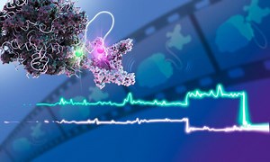 World’s First “Molecular Movie”: Witness DNA Becoming Life’s Blueprint in Real-Time – Lifeboat News: The Blog