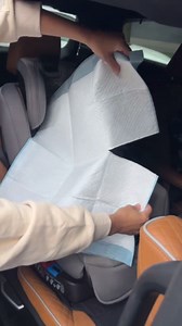 Genius Potty Training Hack for Traveling Families