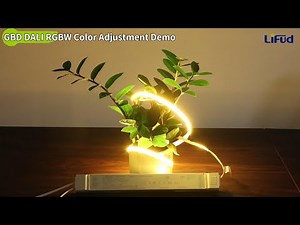 Lifud GBD DALI RGBW Demo: DMX512 CV Driver for LED Strips#lifud #dmx512 #rgbw #leddriver