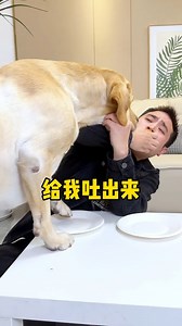 This dog really has a bad temper… 🤬🐕 | Hot-tempered dog