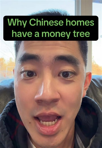 Money trees aren’t just decoration in Chinese homes. From a Chinese medicine and feng shui perspective, they represent living Qi—active, growing energy that influences how a space feels and how your body responds to it. In Chinese medicine, your environment affects your nervous system, digestion, focus, and emotional balance. When the Qi in your home is strong and alive, you think more clearly, feel more regulated, and make better decisions—especially around work, money, and daily life. That’s w